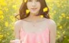 送三只小羊回家2